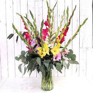 Glads Galore
