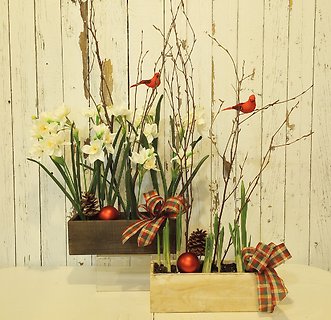 Winter Wonder