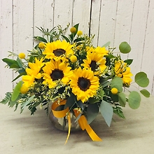 Sunflowers Galore