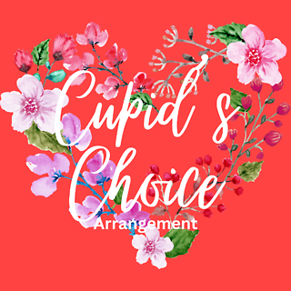 Cupid\'s Choice