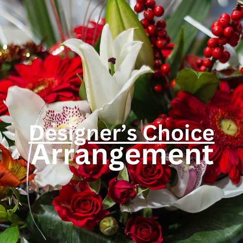 Designer\'s Choice