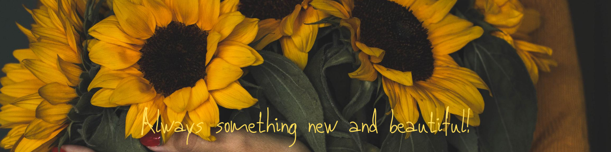 sunflowers