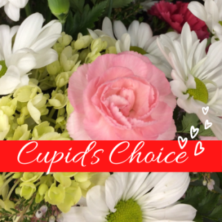 Cupid\'s Choice